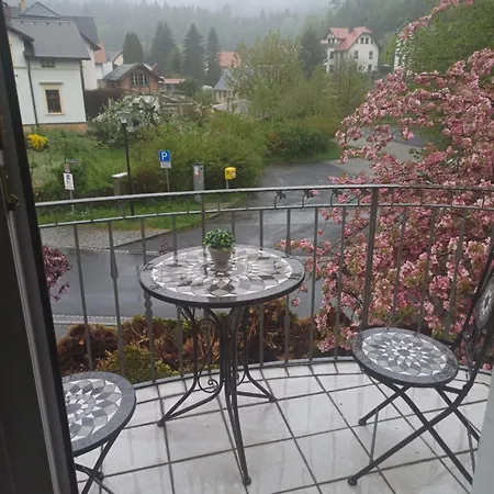 فندق Parkhotel - Zur Alten Rodelbahn