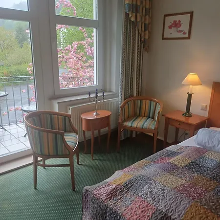 Parkhotel - Zur Alten Rodelbahn 3*