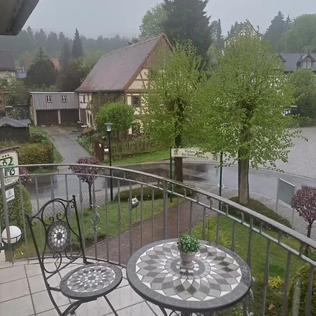 Parkhotel - Zur Alten Rodelbahn