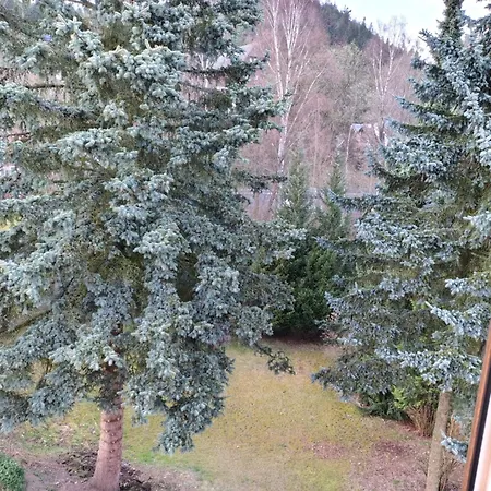 فندق Parkhotel - Zur Alten Rodelbahn 3*